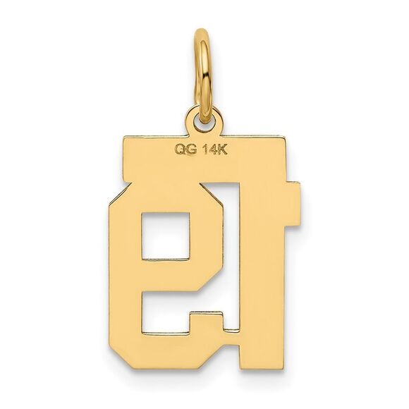 14k Yellow Gold Small Polished Number 19 Charm